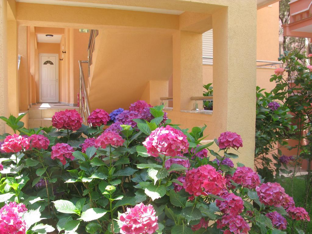 Garni Hotel Koral Будва Екстериор снимка