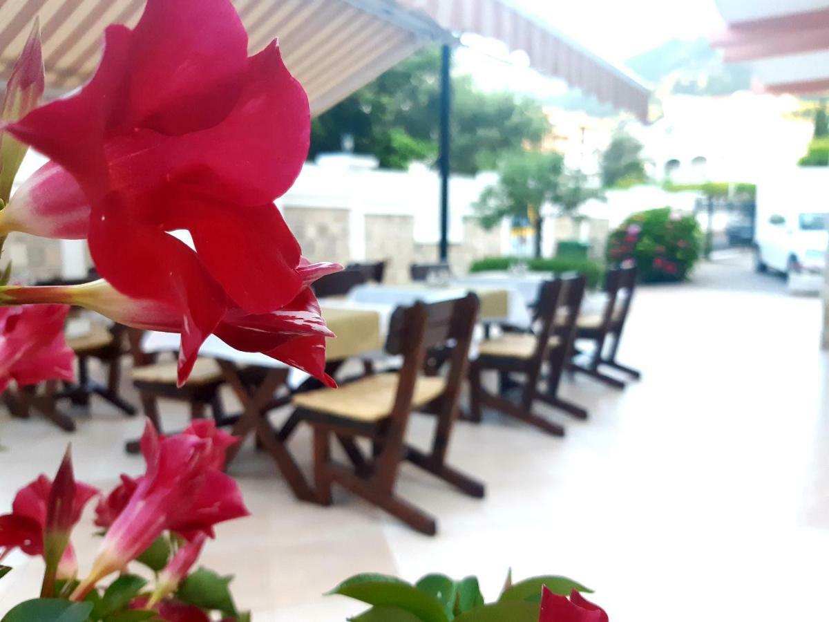 Garni Hotel Koral Будва Екстериор снимка